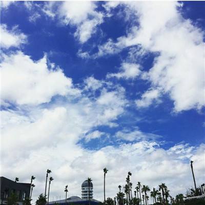 金博宝手机app下载