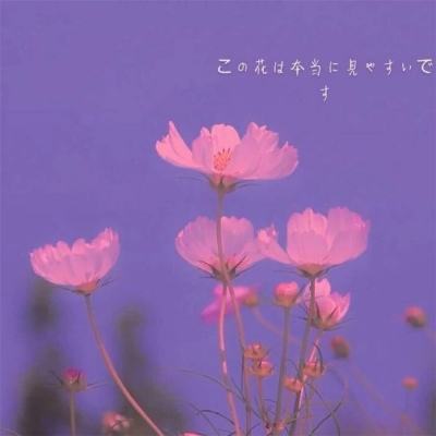 云开·全站APP登录入口