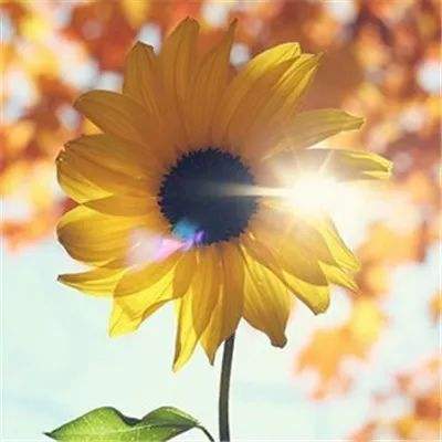 fb体育官方网站入口